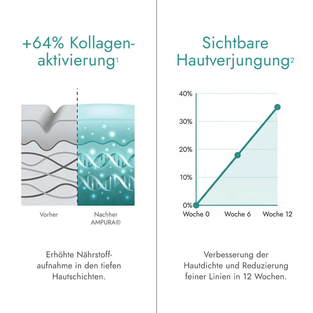 Kollagenproduktion-anregen